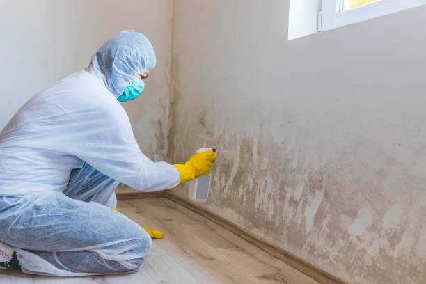 Commercial Mold Remediation assessment for commercial property in Kingsville
